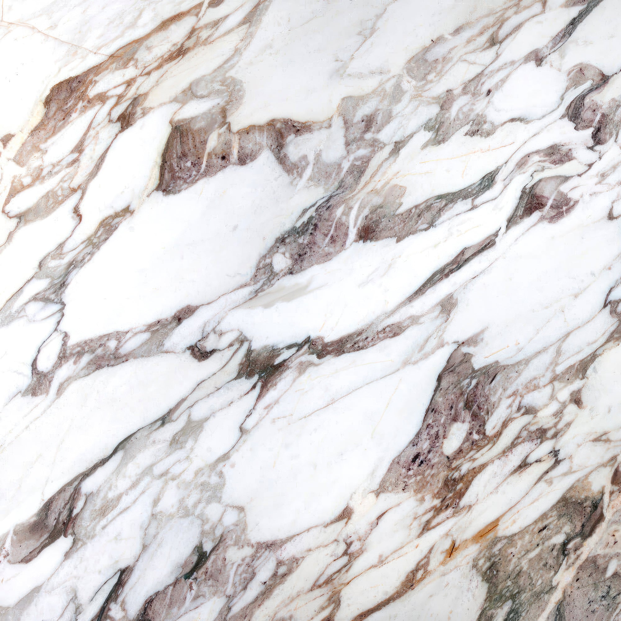 Calacatta Vagli Stone Sample