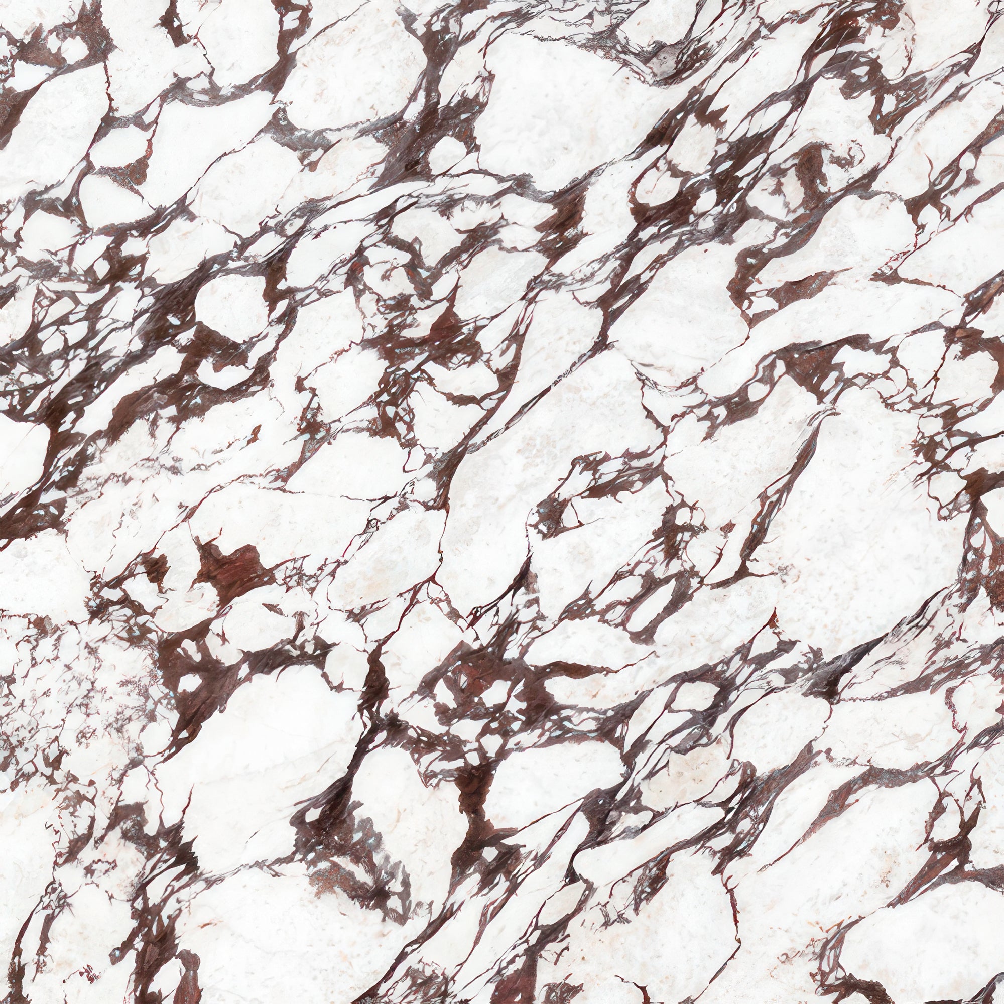 Calacatta Viola Stone Sample